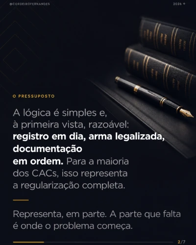 DirCriminal_EXEMPLO_ slide_02 2
