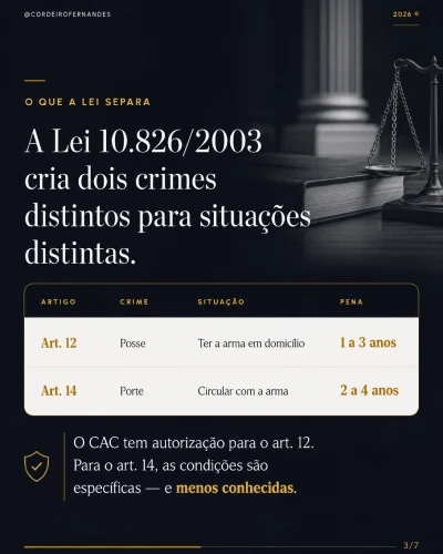 DirCriminal_EXEMPLO_ slide_03 2