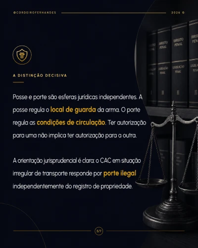 DirCriminal_EXEMPLO_ slide_05 2