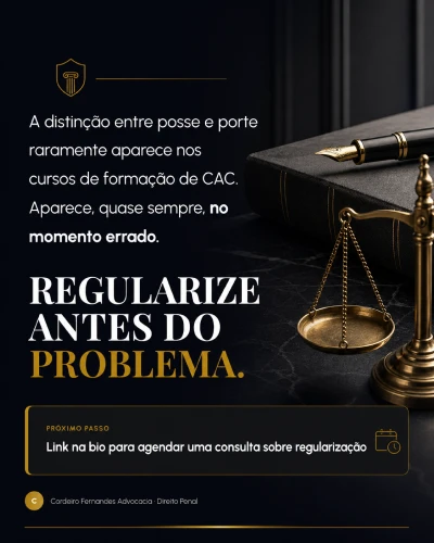 DirCriminal_EXEMPLO_ slide_07 1